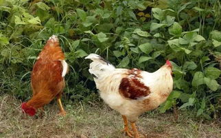 秦淮河發(fā)源地探秘與周邊小眾景點自駕攻略